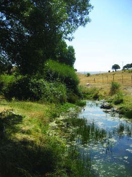 Río Mediana